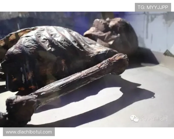 寻宝黄金城传说揭秘：古老传说背后的黄金城秘密等待你来发现